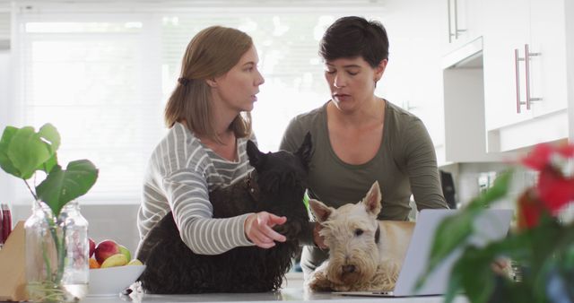 Caucasian lesbian couple with their dogs talking to each other at home - Download Free Stock Photos Pikwizard.com