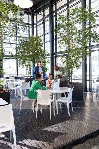Diverse team collaborating around round white table in modern biophilic atrium with laptop
