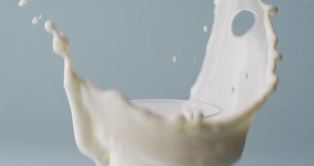 Fresh milk splashing in mid-air, forming a dynamic arc against a soft blue background. Ideal for ads promoting dairy products, freshness, health benefits of milk, or creative culinary photography.
