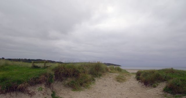 Cloudy Beach Path Amidst Green Grass Leading to Sea - Download Free Stock Images Pikwizard.com