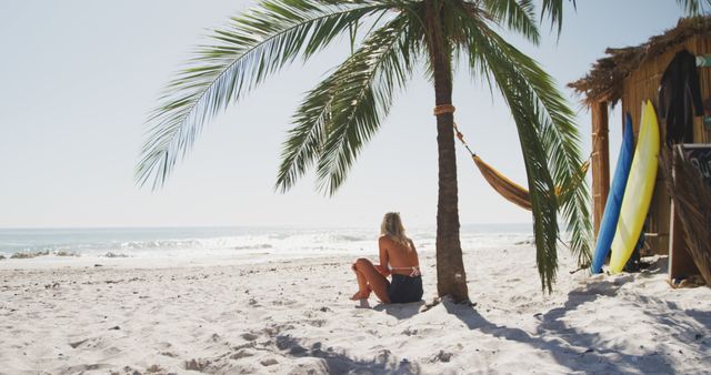 Woman Relaxing on a Tropical Beach near Surfboards and a Palm Tree - Download Free Stock Images Pikwizard.com