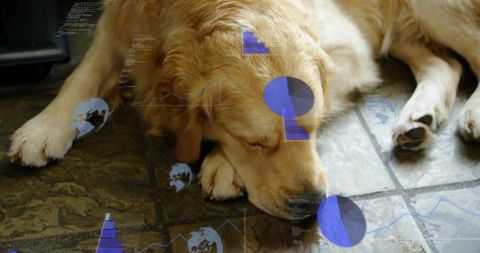 Golden retriever resting on tiled floor with data visualization overlays and code concept