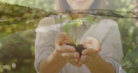 Woman Holding Seedling Symbolizing Growth and Sustainability