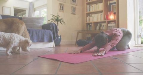Woman Practicing Yoga at Home with Dogs for Relaxation and Wellness