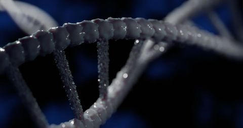 Macro View of Spinning DNA Helix in Detailed 3D Illustration