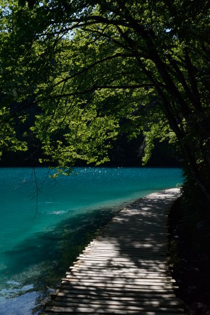 Beautiful lake pathway with clear turquoise water and sunlit trees casting shadows. Ideal for travel blogs, nature magazines, relaxation and wellness advertisements, or inspirational posters. Captures the essence of tranquility and scenic beauty in nature.