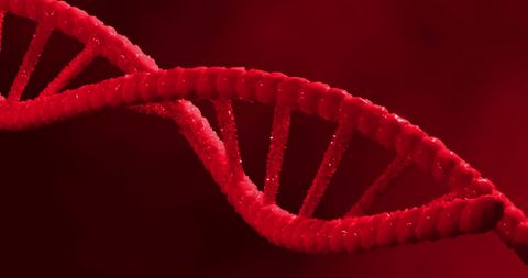 Red DNA Strand on Vibrant Background