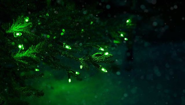 Glowing evergreen branch with green led lights, soft falling snow and festive bokeh