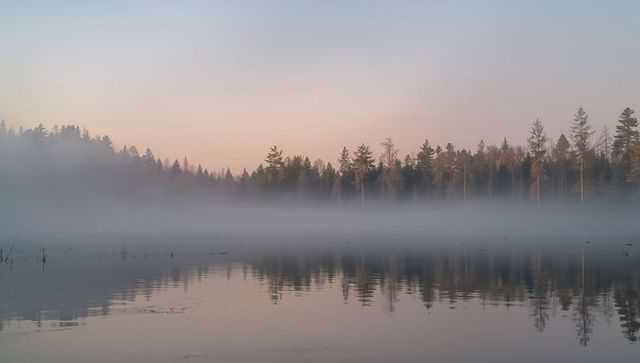 Misty Dawn Over Tranquil Lake with Forest Reflections
