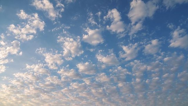 Soft sunlit altocumulus cloud field stretching across pastel morning sky