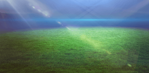 Vibrant Sports Field Stadium Background Design with Transparent Areas - Download Free Stock Videos Pikwizard.com