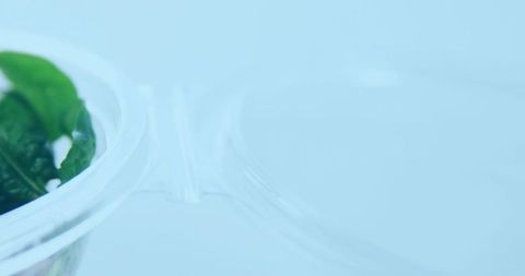 Clear hinged plastic clamshell containing fresh greens on soft blue background