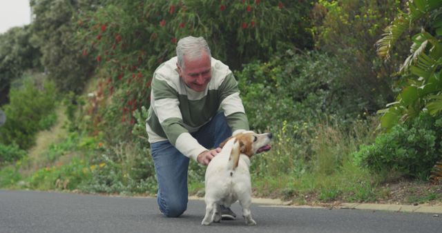 Happy senior man playing with small dog outdoors in nature - Download Free Stock Images Pikwizard.com