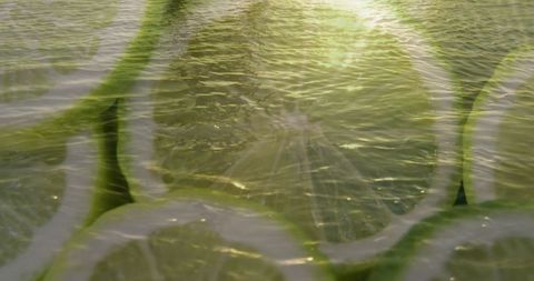 Vibrant citrus slices with sunlit water ripples