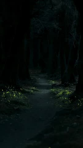 Moving along dark forest trail with bioluminescent glows drawing view deeper