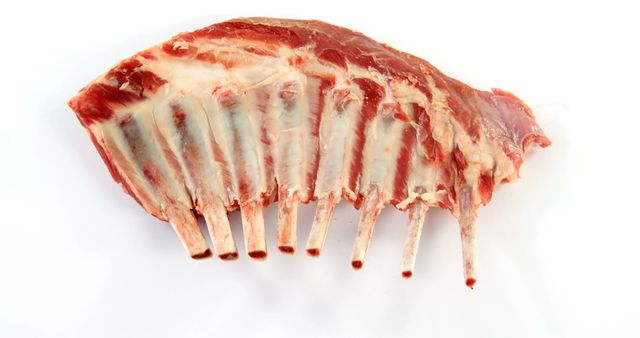 Fresh raw lamb rack with bones isolated on white background. Suitable for use in culinary websites, butcher advertisements, food blogs, cooking magazines, and protein diet articles.