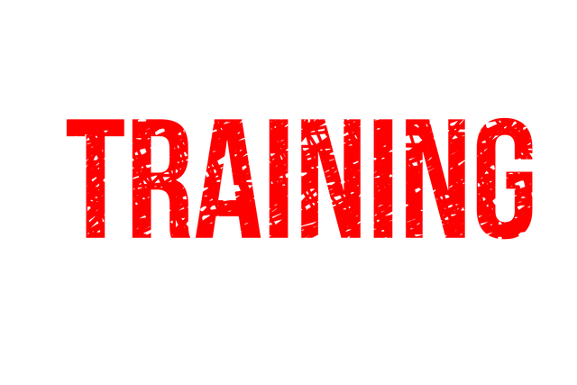 Digital Red Training Text on Transparent Background - Download Free Stock Videos Pikwizard.com