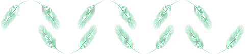 Transparent Green Leaves Border Design Pattern Illustration - Download Free Stock Videos Pikwizard.com