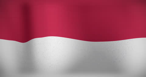 Waving Indonesia Flag Animation with Copy Space