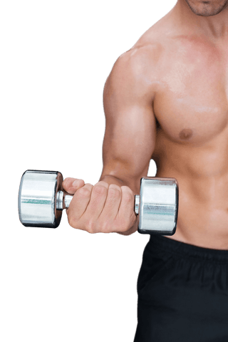 transparent muscle building with dumbbell ceramic set bicep workout - Download Free Stock Videos Pikwizard.com