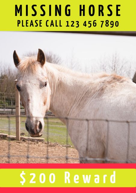 This image shows a missing horse poster featuring a white horse in a fenced area with contact number and reward information prominently displayed. Useful for animal rescue organizations, community bulletin boards, and social media posts to help find lost animals.