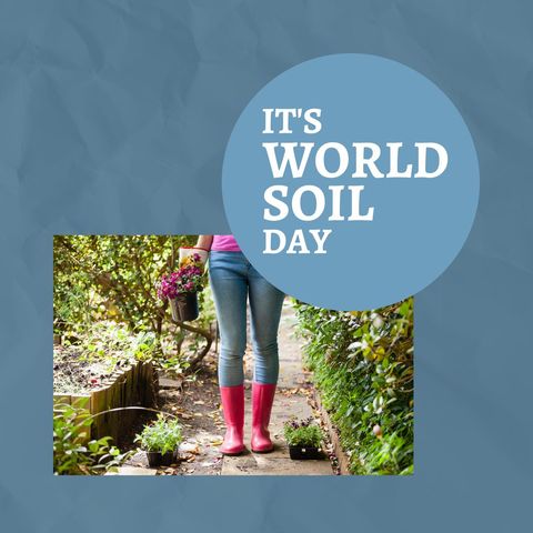 Celebrating World Soil Day with Gardening and Sustainability