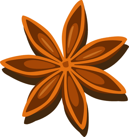 Floating transparent stylized star anise pod