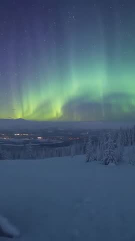 Aurora Borealis Dancing Over Snow-Covered Hillside and Frosted Pines — Vertical Night Video