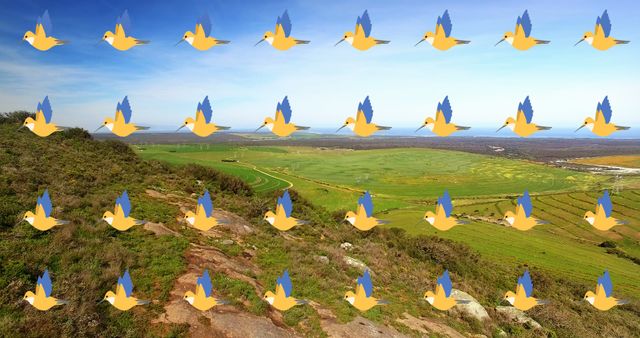 Birds Flying Over Vast Open Landscape on a Sunny Day - Download Free Stock Images Pikwizard.com