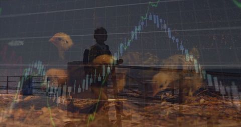 Woman Overlayed with Economic Data and Chickens Symbolizing Agricultural Technology