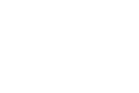 Transparent Illustration of Human Head with Coins Inside Representing Financial Concepts - Download Free Stock Videos Pikwizard.com