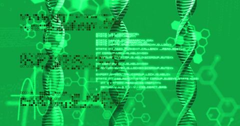 DNA Strands and Digital Data Technology Concept Integration - Download Free Stock Images Pikwizard.com
