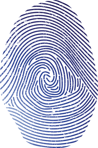 fingerprint pattern illustration on transparent background - Download Free Stock Videos Pikwizard.com