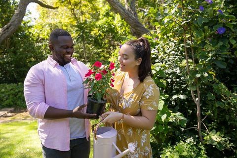 Couple Engaging in Gardening with Vibrant Blossoms