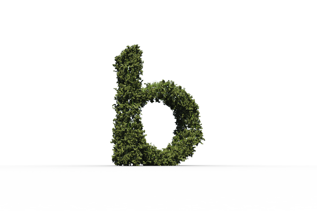 Transparent Letter B Shaped Tree Made from Green Leaves isolated - Download Free Stock Videos Pikwizard.com