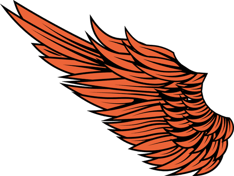 Stylized orange wing with black outlines on transparent background