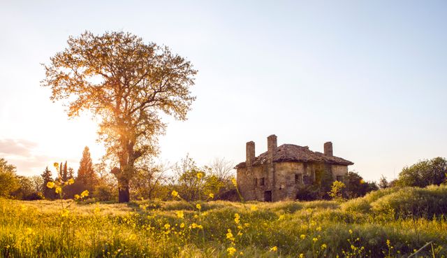 Abandoned House in Countryside at Sunset with Yellow Wildflowers - Download Free Stock Photos Pikwizard.com