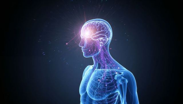 Holographic display of glowing brain and neural pathways