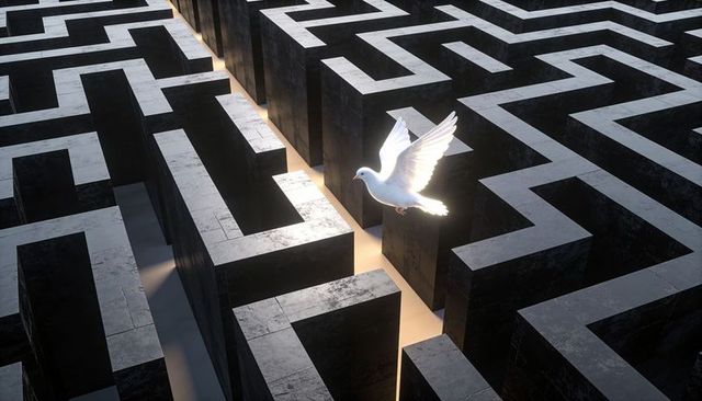 White Dove Gliding Above Concrete Labyrinth with Backlit Wings and Golden Light