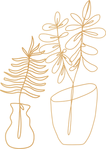 minimalist gold line art of potted plants on transparent background - Download Free Stock Videos Pikwizard.com