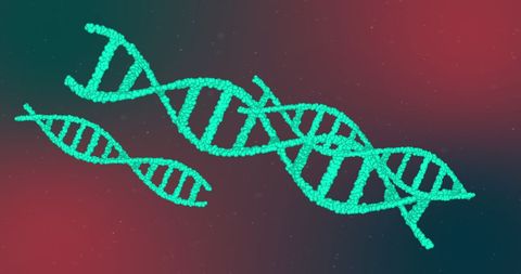 glowing 3d dna strands on red gradient background - Download Free Stock Images Pikwizard.com