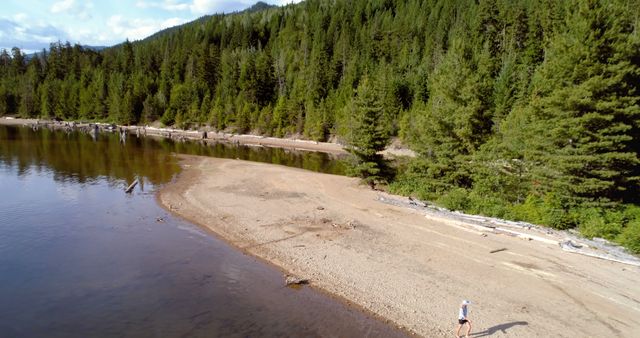 Aerial photograph of a person walking along the tranquil shoreline of a forest-surrounded lake. The scene captures nature in its purest form, showcasing clear water, dense green forest, and a secluded beach area. Ideal for promoting outdoor activities, travel destinations, nature retreats, adventure tourism, and ecological projects.