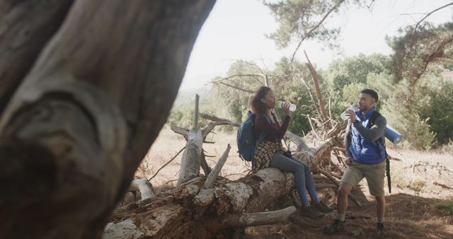 Young people engaging in refreshing break during a hike, sitting on a large fallen tree trunk, enjoying the forest surroundings. Ideal for promoting outdoor adventures, hydration products, or healthy lifestyles involving nature activities.