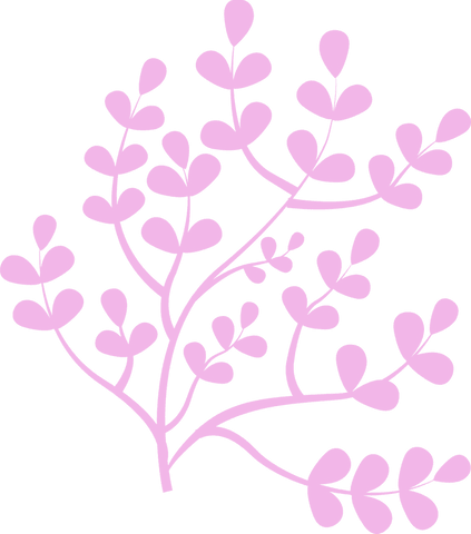 Pink botanical branch motif on transparent background