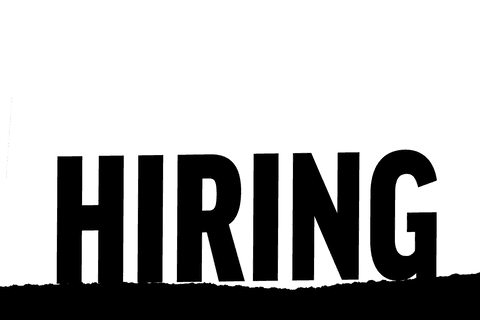 Transparent Hiring Text for Job Recruitment Designs - Download Free Stock Videos Pikwizard.com