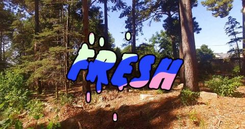 Colorful fresh graffiti dripping over sunlit pine forest clearing with rooftop glimpse