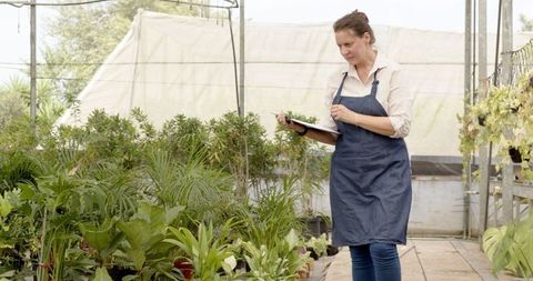 Mature Woman Examining Plant Growth Inside Greenhouse