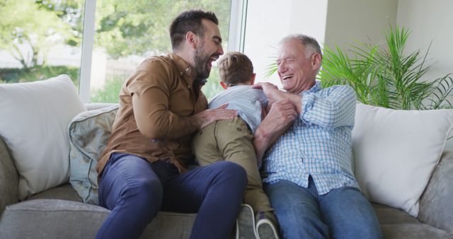 Three Generations Enjoying Playtime on Sofa in Bright Living Room - Download Free Stock Images Pikwizard.com