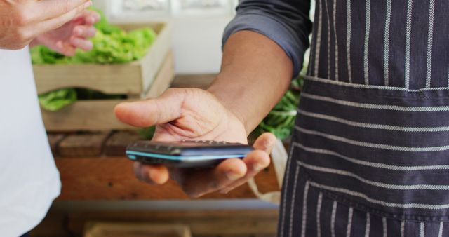 Person Using Smartphone in Grocery Store - Download Free Stock Images Pikwizard.com