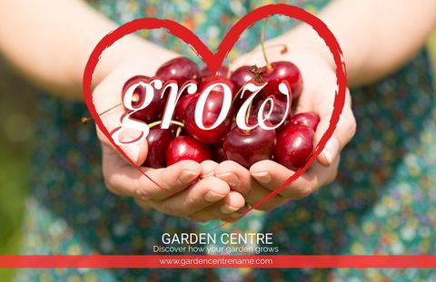 hands holding cherries symbolizing growth and nurturing - Download Free Stock Templates Pikwizard.com